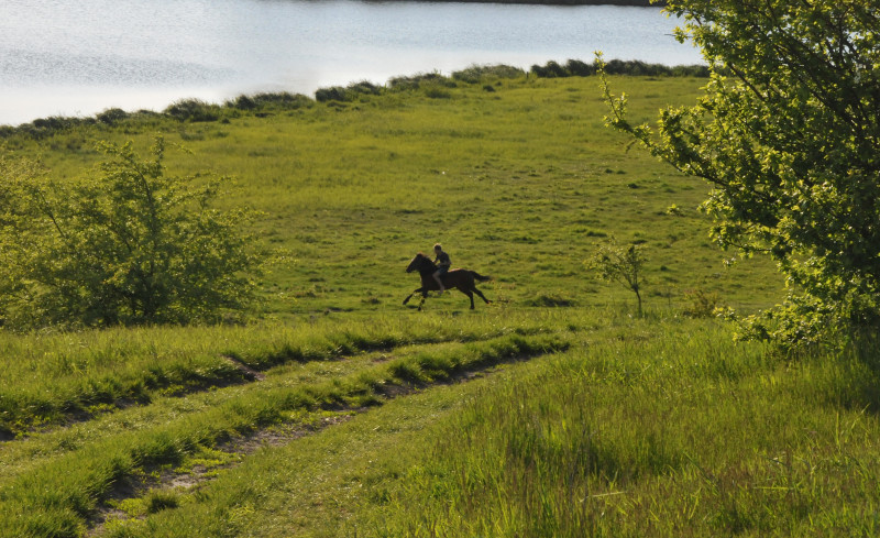 Коршів - Коршів