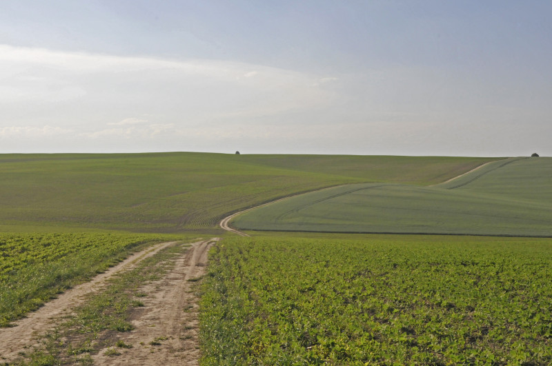 Загаї - Загаї