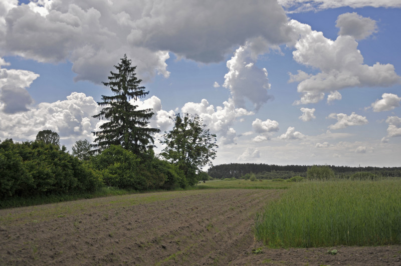 Словатичі - Словатичі