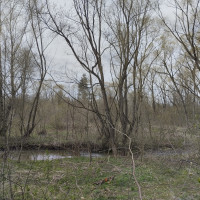 річка Жижава