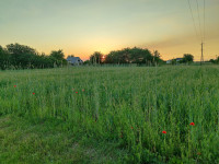 Природа Носівки