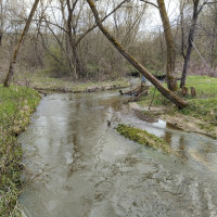 річка Жижава