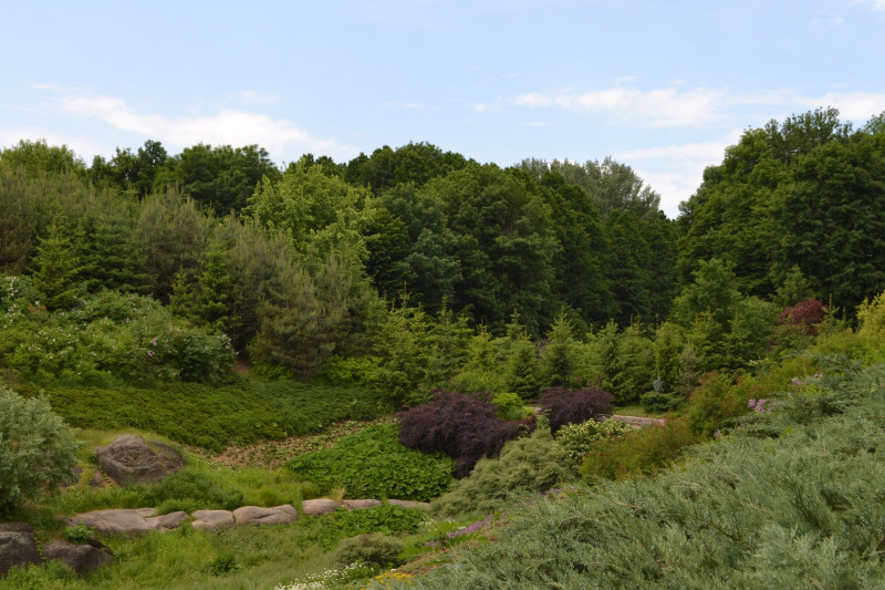 Софіївка - Умань