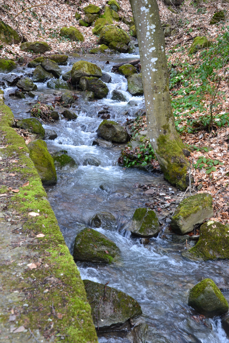 Невицьке - Невицкое