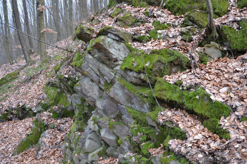 Невицьке - Невицьке