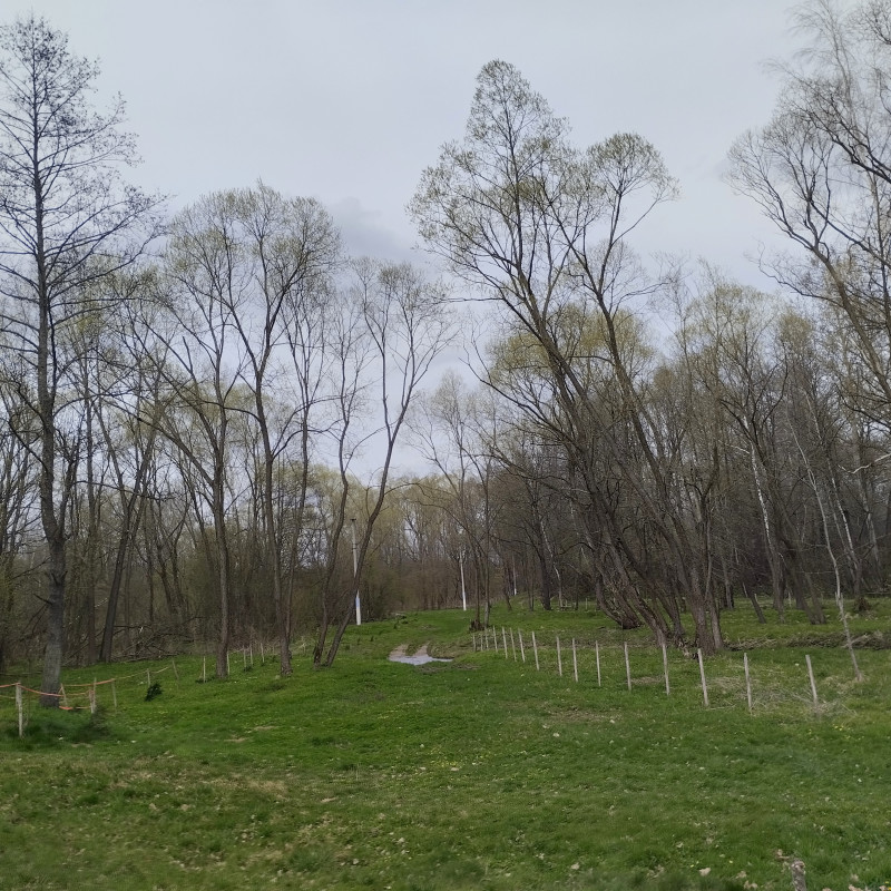 краєвид 3 - Горишнее