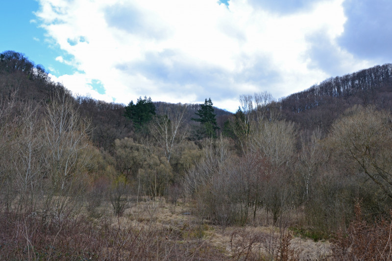 Невицьке - Невицкое