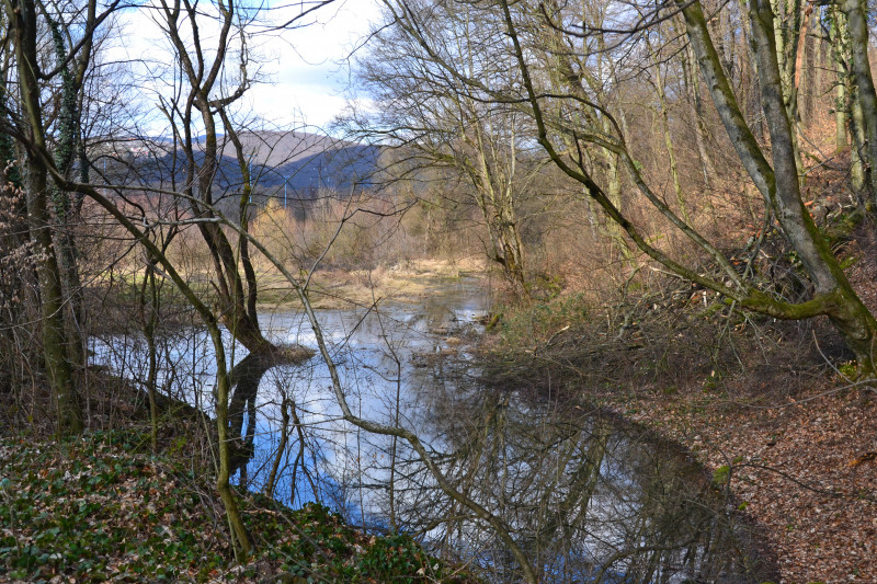 Невицьке - Невицкое