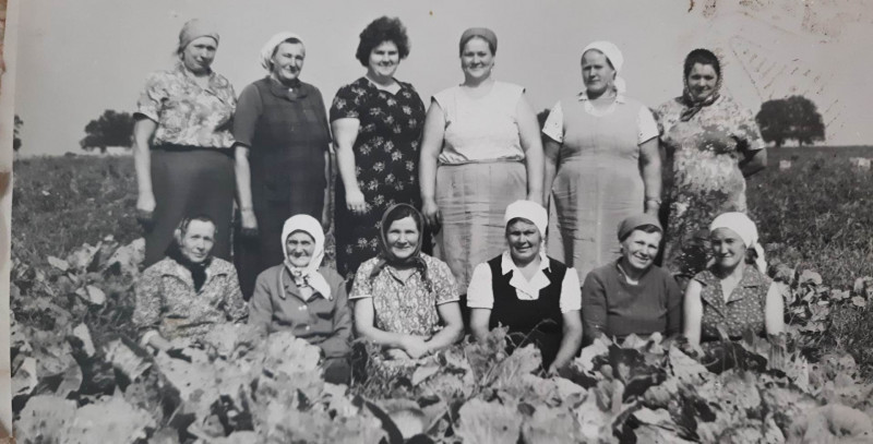 ІСТОРІЯ - Кримки