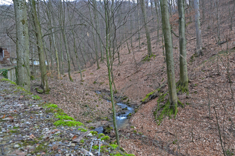 Невицьке - Невицкое