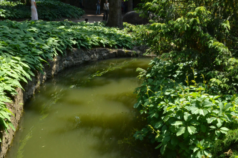 Софіївка - Умань