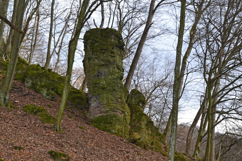 Невицьке - Невицьке