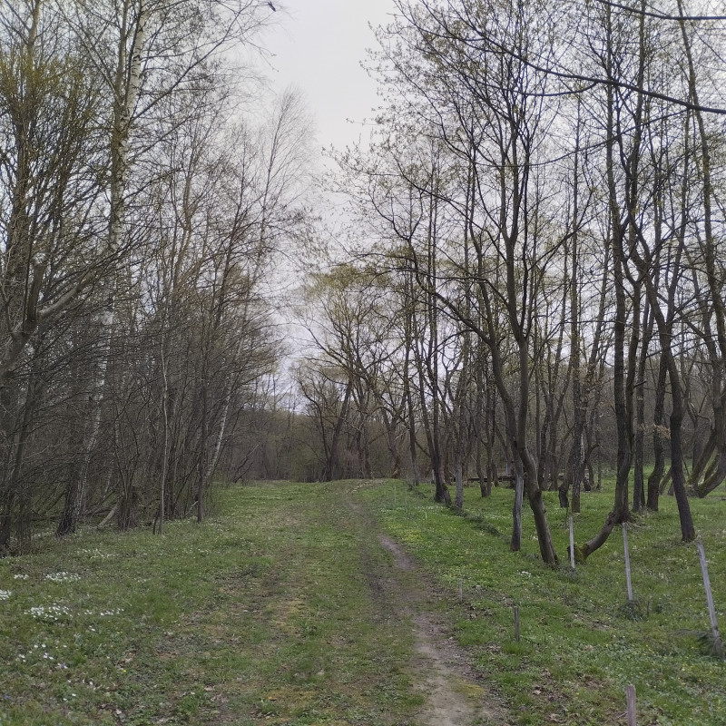 краєвид 3 - Горишнее