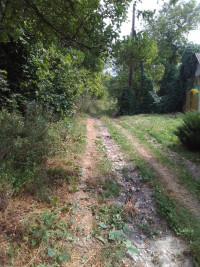 Весела Гора з panoramio.com