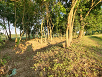 Природа Носівки