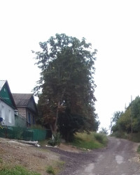 Весела Гора з panoramio.com