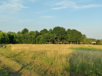 Природа Носівки