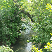 річка Вівнянка