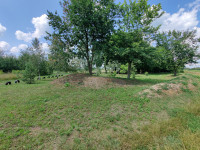 Природа Носівки