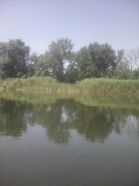 Весела Гора з panoramio.com