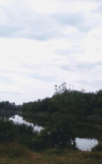 Весела Гора - Останні фото