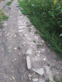 Весела Гора - Останні фото