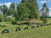 Природа Носівки