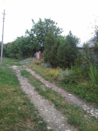 Весела Гора з panoramio.com