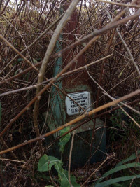 Весела Гора з panoramio.com