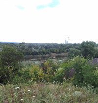 Весела Гора - Останні фото