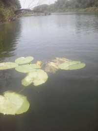 Весела Гора з panoramio.com