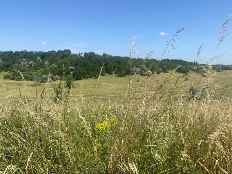 Наші фото - Манжелия