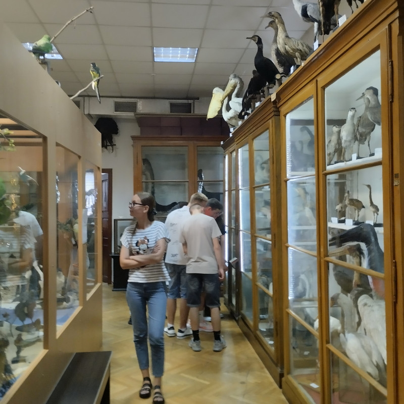 архітектурні замальовки 9 - Львов