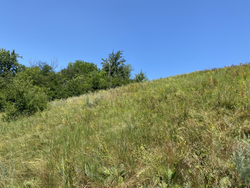 Наші фото - Манжелия