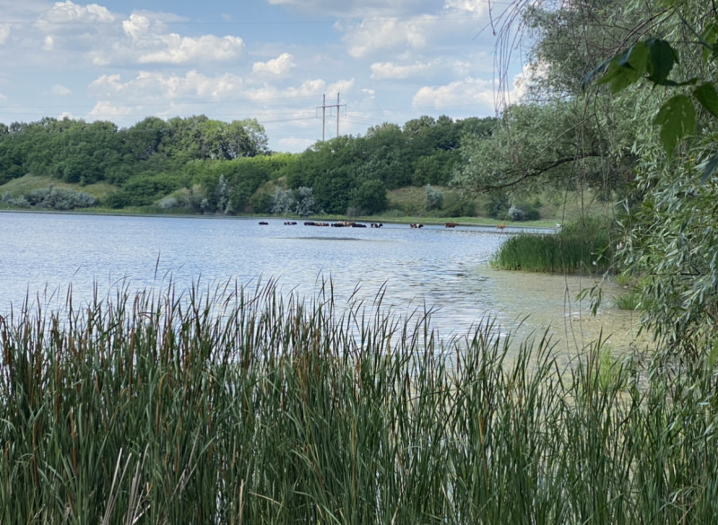 Наші фото - Манжелія