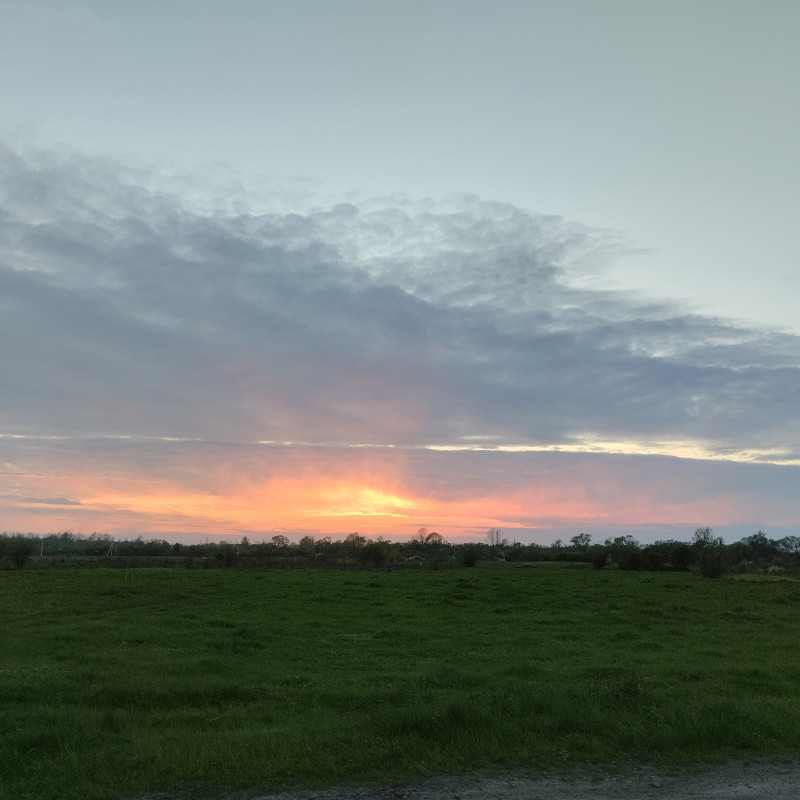 краєвид - Миртюки