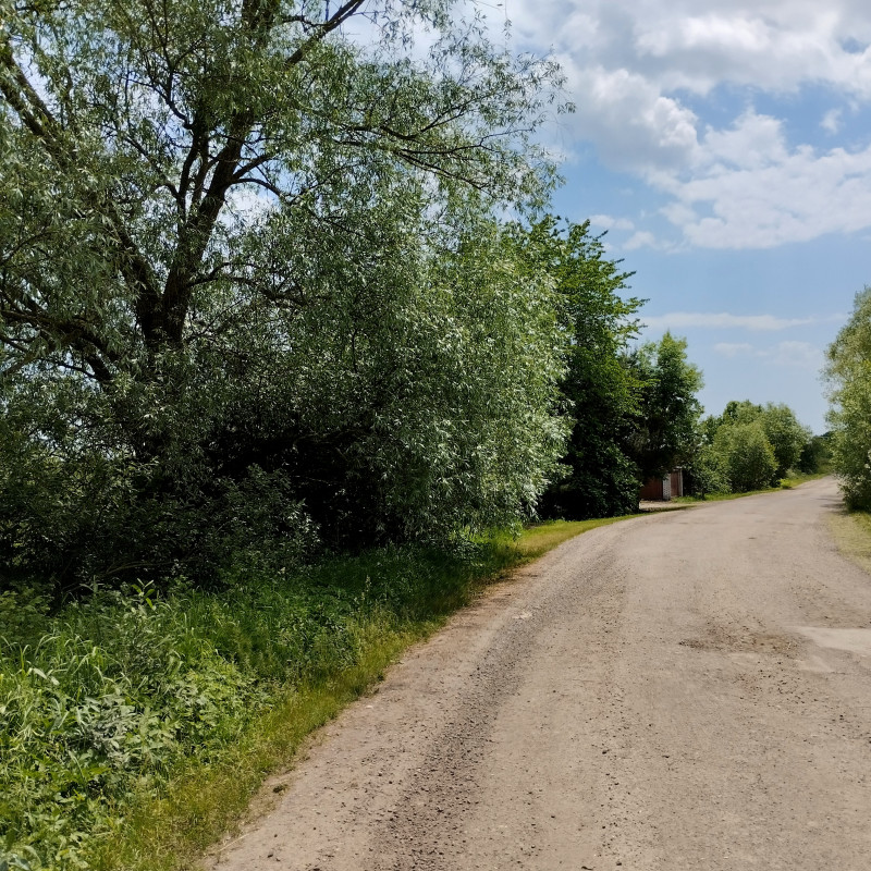 Краєвид 5 - Держев