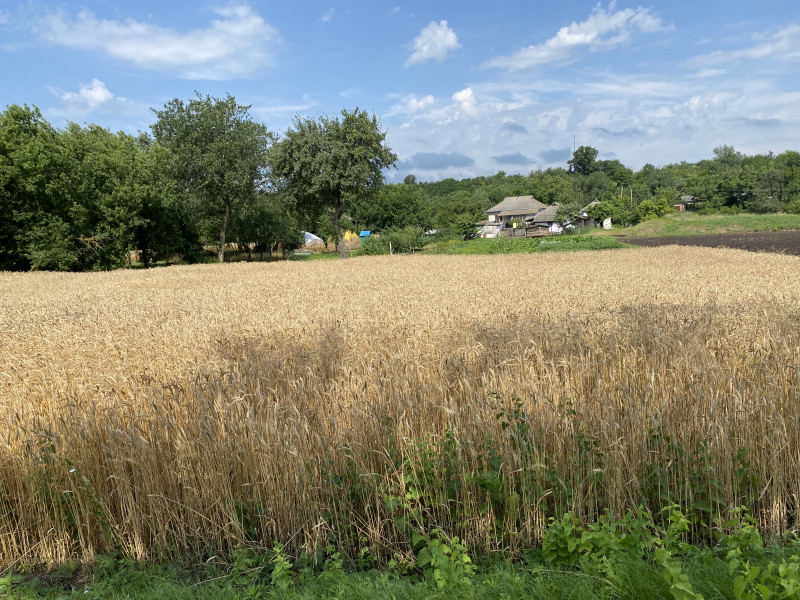 Наші фото - Манжелия