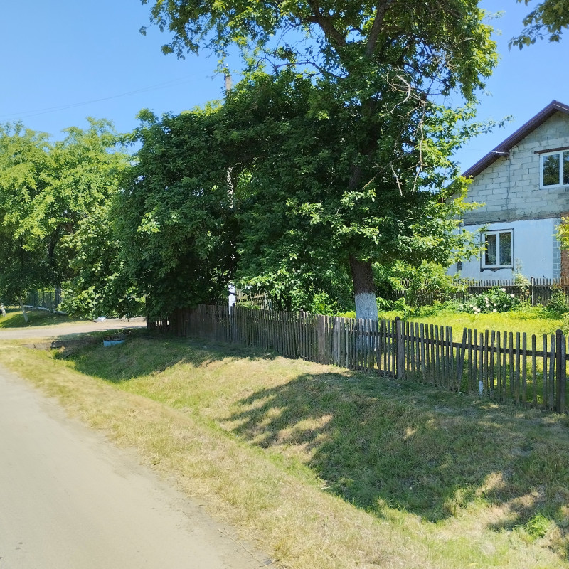 Краєвид 5 - Держев