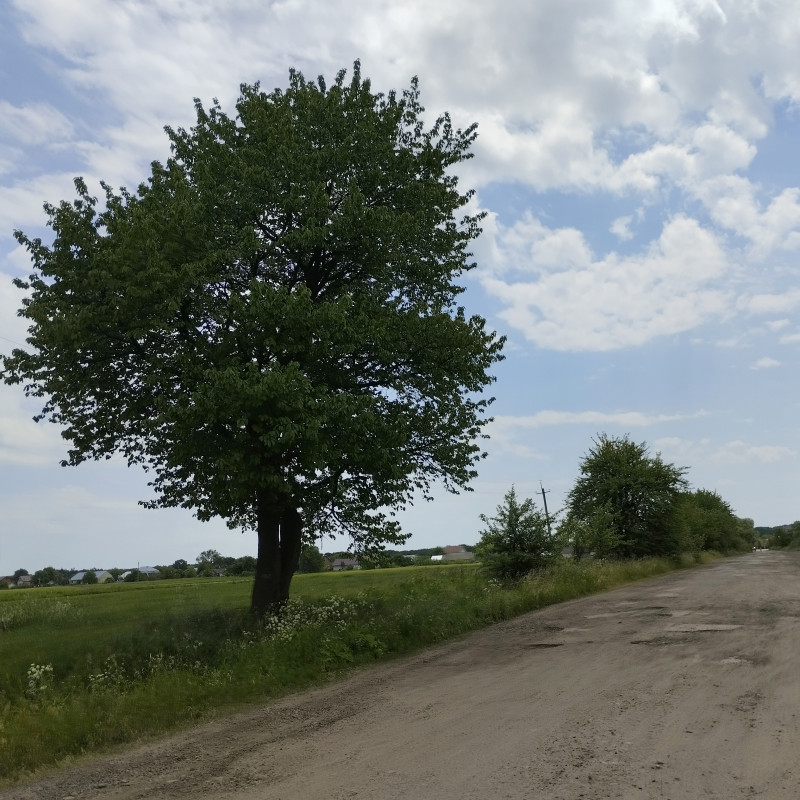 Краєвид 5 - Держев