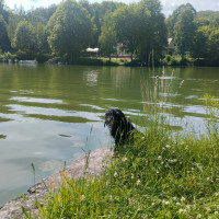 Відпочинковий комплекс Чарівні озера