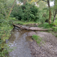 річка Жижава