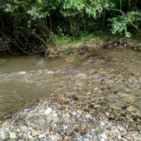 річка Жижава