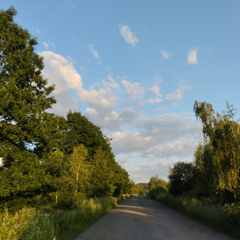 краєвид 3 - Горишнее