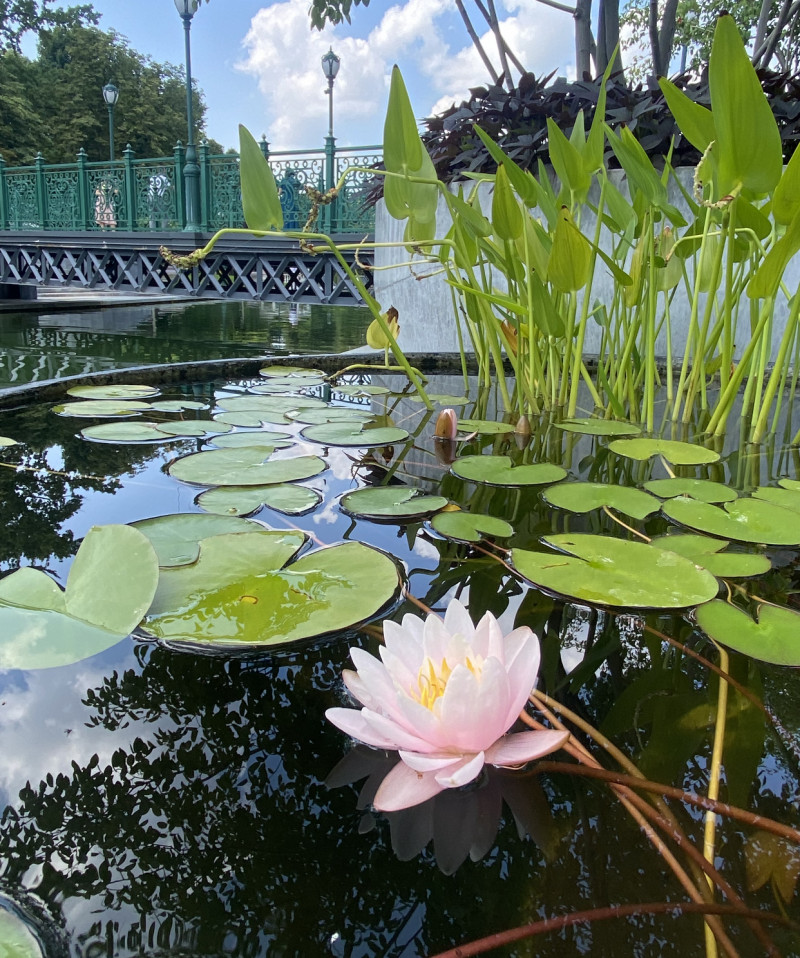 Наші фото - Харків