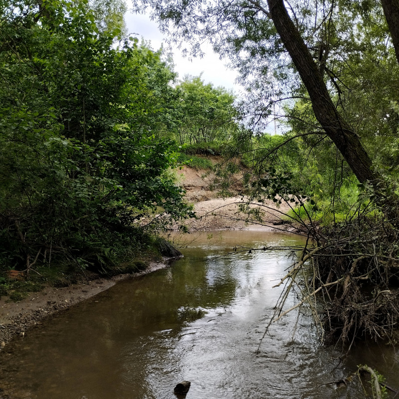 річка Жижава - Горішнє