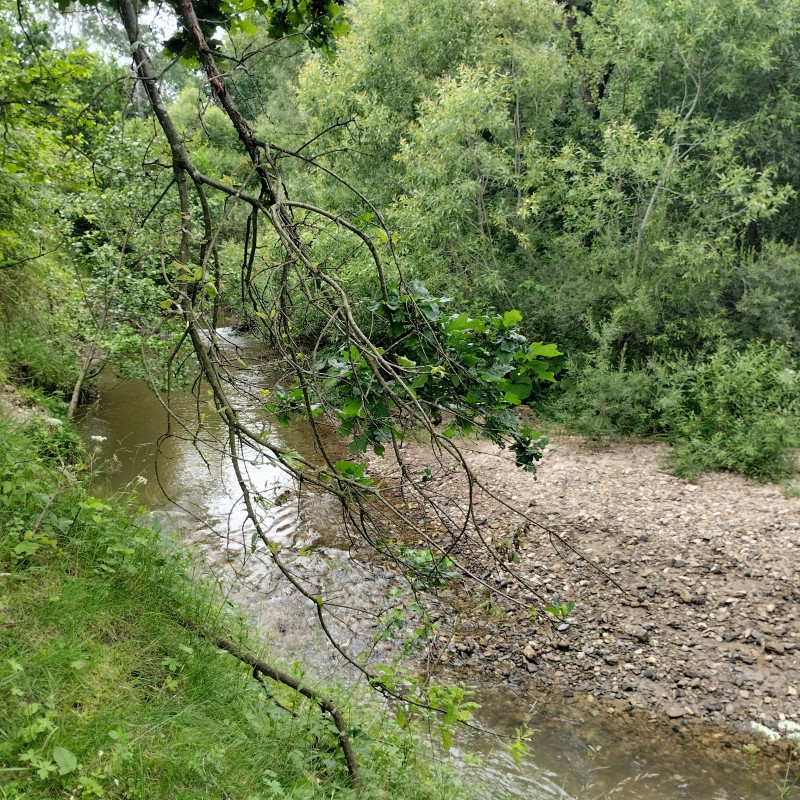 річка Жижава - Горішнє