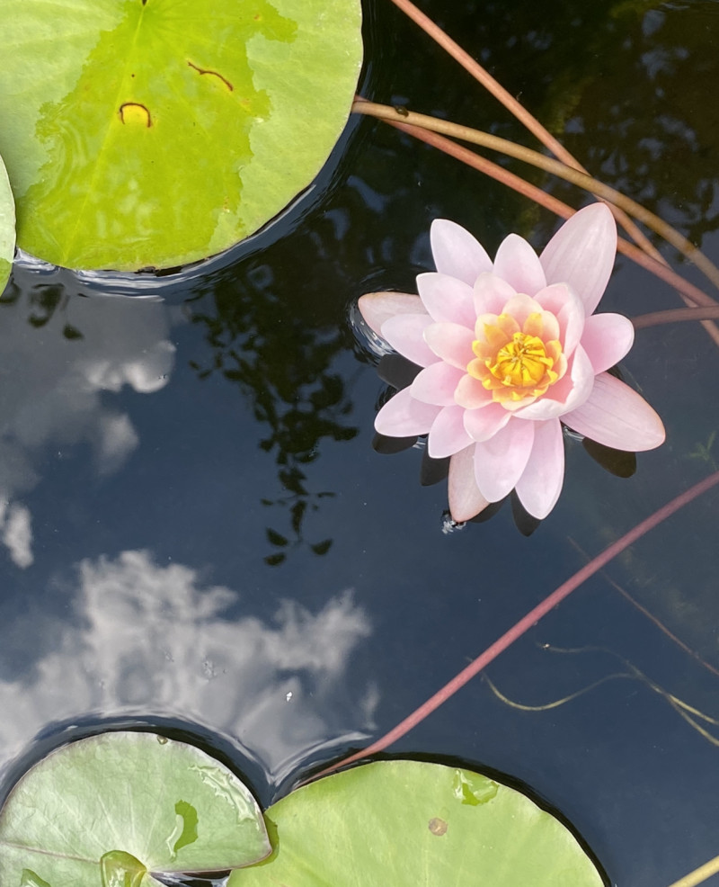 Наші фото - Харків