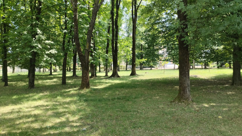 Старовинне Мукачеве 1 - Мукачеве