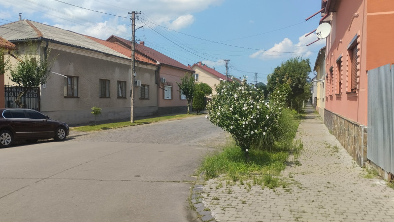 Старовинне Мукачеве 1 - Мукачеве